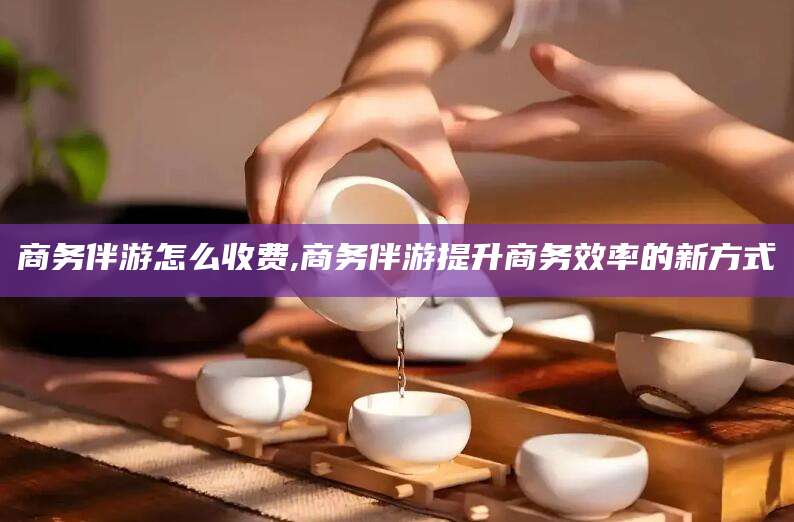 内蒙古商务伴游怎么收费,商务伴游提升商务效率的新方式